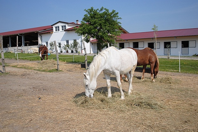 neue Reitanlage