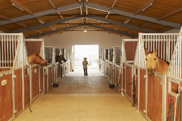 neue Reitanlage