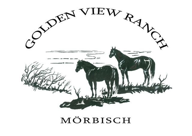 neue reitanlage