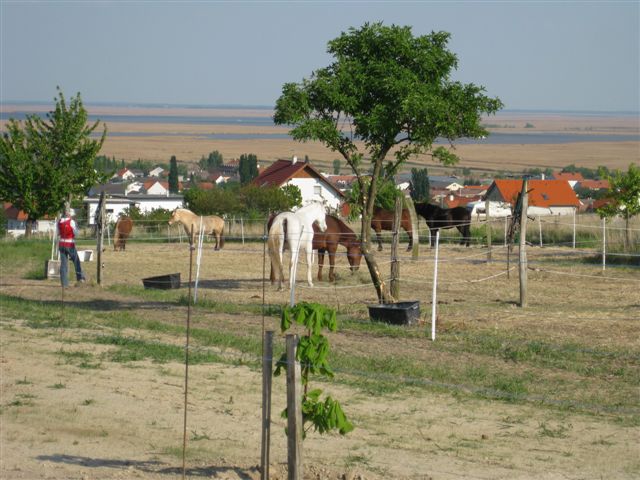 neue Reitanlage